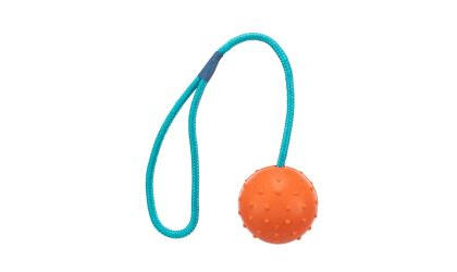 oranger ball mit blauer schnurr